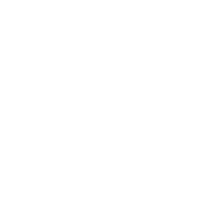 fenix-partner